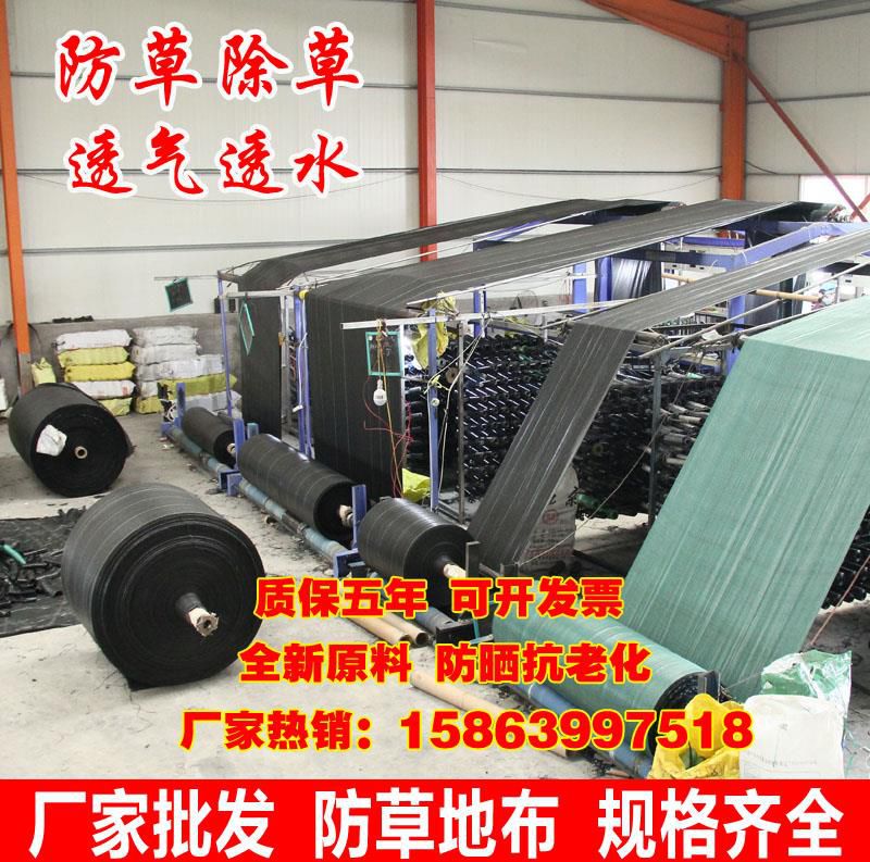 防草布除草布种树园艺大棚草地地布透气加厚可剪裁果园简易耐用|msdalam kategori penghantaran bunga/bunga simulasi/tumbuhan berkebun, Gardening Supplies, Peralatan Perkebunan lain - dari Buy2taobao.com untuk memberikan perkhidmatan ejen Taobao profesional membeli