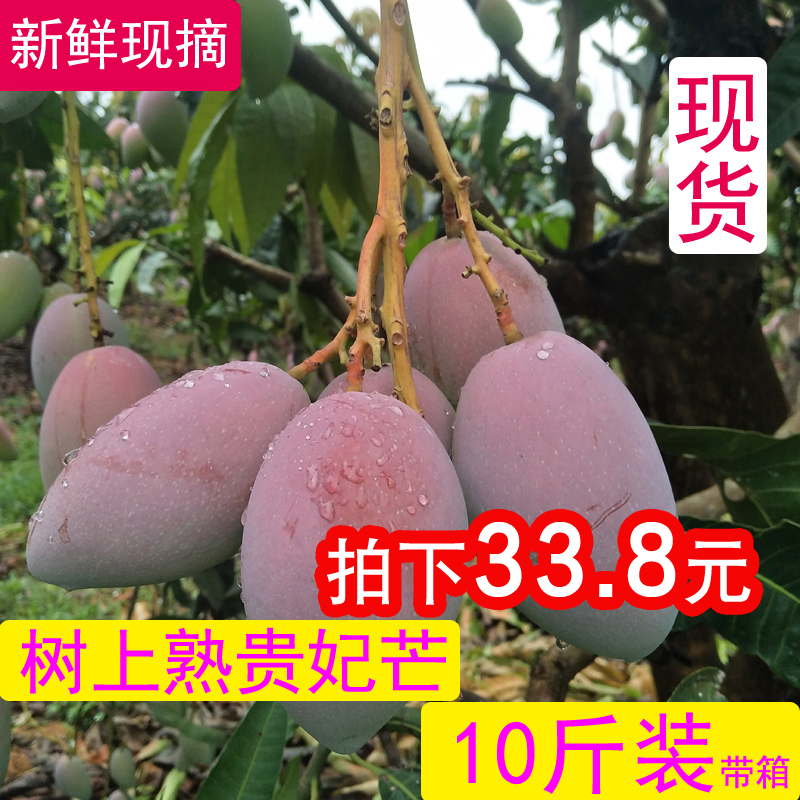 海南贵妃芒新鲜水果包邮10斤带箱红金龙大个紫色多汁芒果当季水果|ruв категории водной мясо/свежие фрукты и овощи/еда, свежие фрукты, манго - от Buy2taobao.com для оказания профессиональной услуги покупки агента Taobao