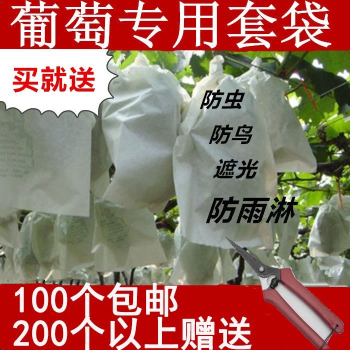 Bacteria Pest control grape paper bag Grape bags Fruit bag Bag waterproof Dedicated Baggingin the Flower delivery/Flowers simulation/Plants gardening , Gardening supplies , Other Garden Supplies category - from Buy2taobao.com to provide professional Taobao agent buy service