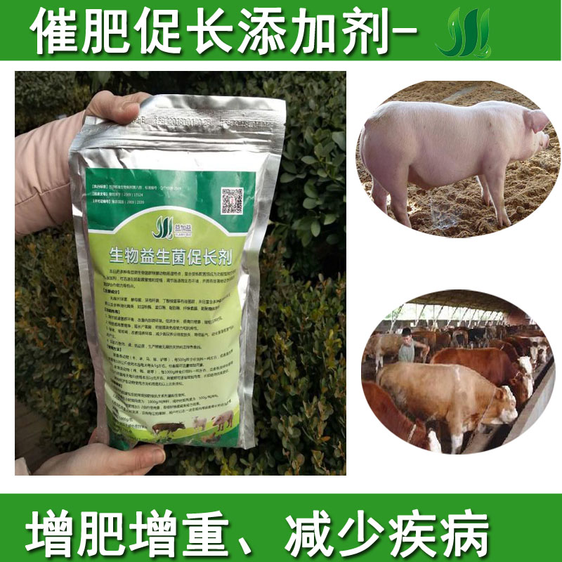 催肥增重王牛羊雞鴨鵝豬獸用育肥促長防病益生菌飼料添加劑微生態在類目 畜牧/養殖物資, 飼料, 飼料添加劑中 - 來自Buy2taobao.com提供專業的淘寶代購服務