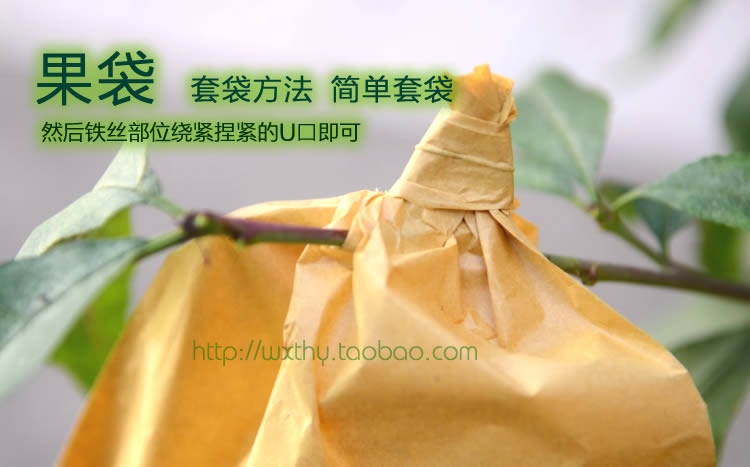 套袋新款山东 梨袋 三层果袋 水果纸袋条纹纸包邮在类目 鲜花速递/花卉仿真/绿植园艺, 园艺用品, 其它园艺用品中 - 来自Buy2taobao.com提供专业的淘宝代购服务