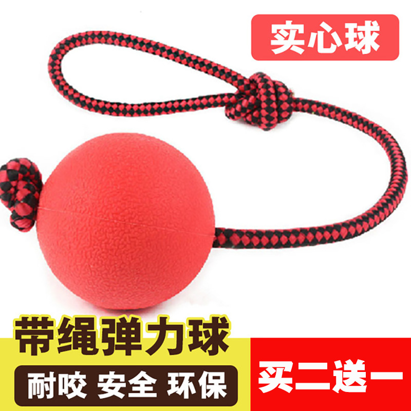 狗狗玩具实心橡胶棉绳环保手提球弹力球训练逗趣磨牙洁齿耐咬宠物在类目 宠物/宠物食品及用品, 猫/狗玩具, 橡胶球/球形玩具中 - 来自Buy2taobao.com提供专业的淘宝代购服务