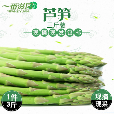 春季新鲜芦笋龙须菜新鲜蔬菜 绿芦笋农家自产青笋去白根春笋3斤装