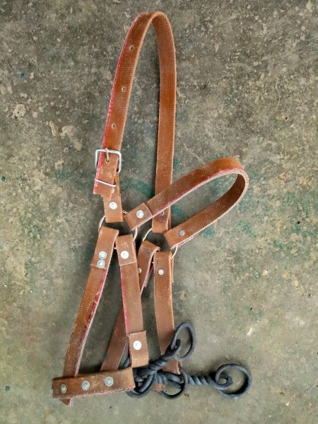 Malibut is strong,durable,Adjustable size,suit Various horsein the Sports/Yoga/Fitness/Fans supplies , Equestrian Sports , Horse equipment , Horse/Leading tune category - from Buy2taobao.com to provide professional Taobao agent buy service