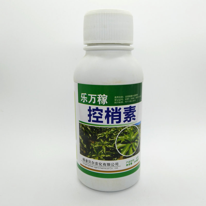 芒果控梢剂控梢素杀梢剂果树促控剂芒果控梢膨大上色增甜控梢 1在类目 农用物资, 肥料, 叶面肥中 - 来自Buy2taobao.com提供专业的淘宝代购服务
