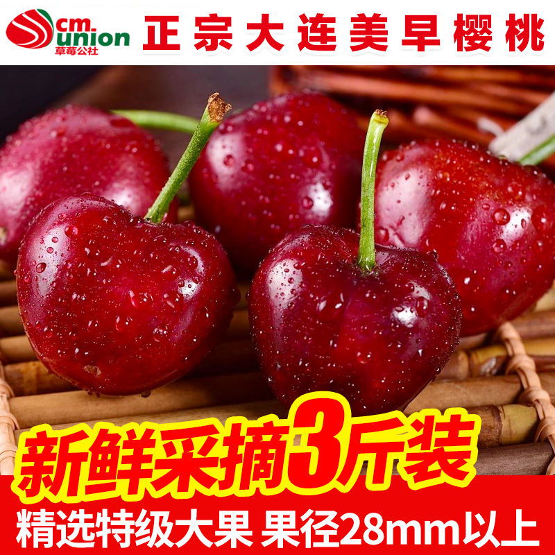 Orthodox school Dalian Meizao Cherry Cherry Black Pearl fresh Season Fruit 3 Yin Tao Yurikoin the Aquatic meat/Fresh fruits and vegetables/Cooked , Fresh fruit , Cherries/Cherry category - from Buy2taobao.com to provide professional Taobao agent buy service