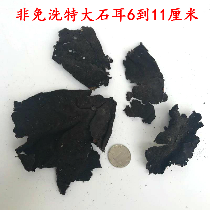 undefined2 Jiuhua Super Large Disposable wild Rock ear Huangshan Gyrophora lichen 100 Keshan Treasure New Year Goodsundefinedin the Agri rice/Dried foods/Condiment , Dried foods/Meat Dry , Dry/Native , Other category - from Buy2taobao.com to provide professional Taobao agent buy service
