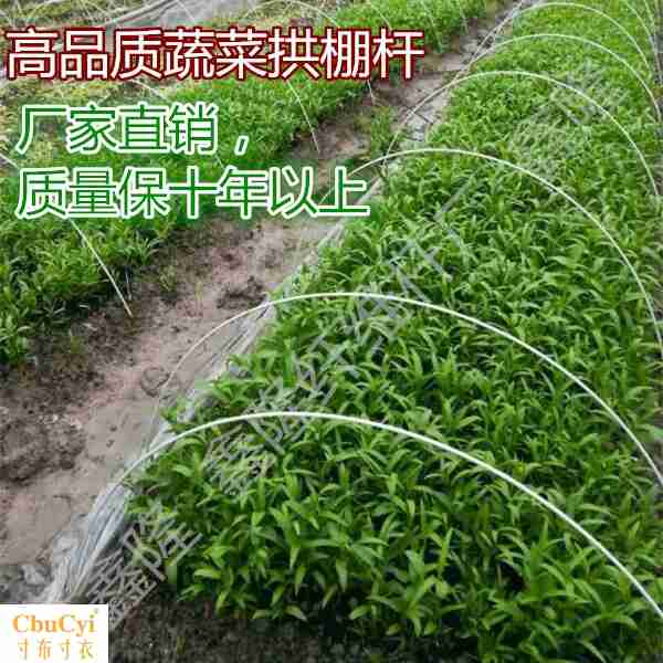 5MM Vegetables grow seedlings heat preservation Plastic grape Rain Support rod High elastic fibre Barsin the Flower delivery/Flowers simulation/Plants gardening , Gardening supplies , Other Garden Supplies  category - from Buy2taobao.com to provide professional Taobao agent buy service