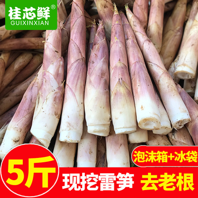 新鲜冬笋春笋雷笋现挖雷竹笋油焖笋野生腌笃笋蔬菜5斤装整箱包邮