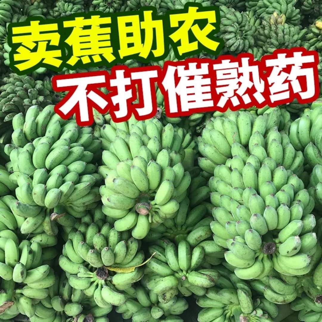 新鲜水果香蕉小米蕉西贡蕉 小芭蕉皇帝蕉非苹果粉蕉大芭蕉5斤包邮在类目 办公设备/耗材/相关服务, 包装设备/标牌及耗材, 包裹袋/编织袋中 - 来自Buy2taobao.com提供专业的淘宝代购服务
