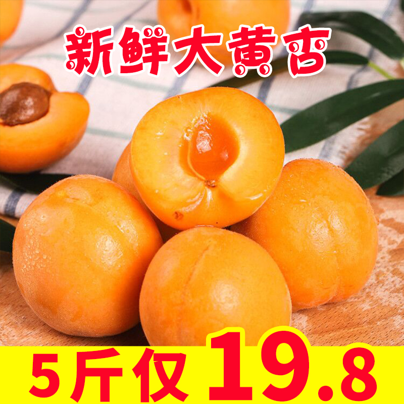 陝西大黃杏新鮮5斤杏子當季孕婦水果農家現摘酸甜貴妃杏批發包郵2在類目 水產肉類/新鮮蔬果/熟食, 新鮮水果, 其它中 - 來自Buy2taobao.com提供專業的淘寶代購服務