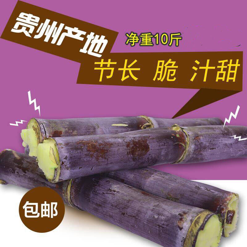 Guizhou fresh Black fruit Sugar cane Crisp Juicy Hair root Farm Net weight 10 Jinin the Aquatic meat/Fresh fruits and vegetables/Cooked , Fresh fruit , Other category - from Buy2taobao.com to provide professional Taobao agent buy service
