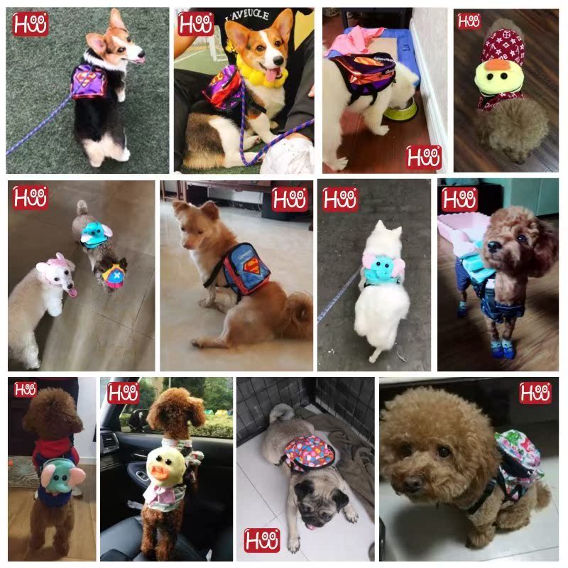 2019新款狗狗背包狗用自己背小寵物的背包外出小書包便攜包雙肩小在類目 寵物/寵物食品及用品, 寵物服飾及配件, 寵物揹包中 - 來自Buy2taobao.com提供專業的淘寶代購服務