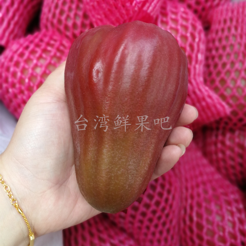 台灣進口蓮霧新鮮水果巴掌香水蓮霧脆甜多汁原箱12斤包順豐在類目 水產肉類/新鮮蔬果/熟食, 新鮮水果, 其它中 - 來自Buy2taobao.com提供專業的淘寶代購服務