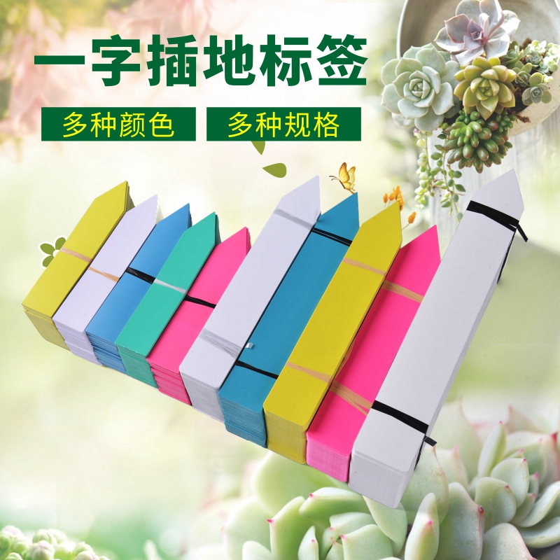 冲冠多肉植物塑料插地牌/一字花卉标签/园艺插地标牌/园艺标签在类目 鲜花速递/花卉仿真/绿植园艺, 园艺用品, 其它园艺用品中 - 来自Buy2taobao.com提供专业的淘宝代购服务