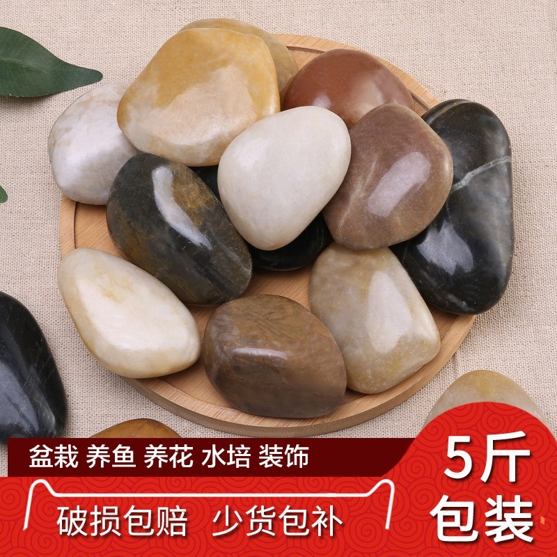 乌龟晒台爬台爬坡鱼缸花盆鹅卵石大石头大块原石庭院户外在类目 鲜花速递/花卉仿真/绿植园艺, 园艺用品, 其它园艺用品中 - 来自Buy2taobao.com提供专业的淘宝代购服务