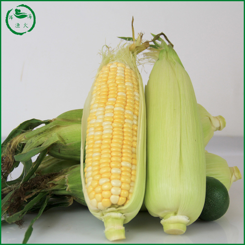 5 pounds Yunnan Organic Non-GM fresh fruit Sweet corn stick Juicing precooked and ready to be eaten Northeast Waxy kindin the Aquatic meat/Fresh fruits and vegetables/Cooked , Fresh vegetables/Vegetable products , Fresh vegetables , Fresh corn category - from Buy2taobao.com to provide professional Taobao agent buy service