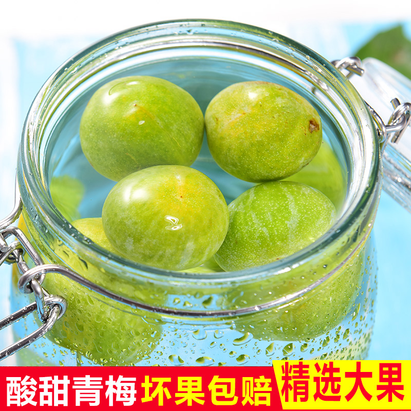 現摘新鮮青梅5斤可泡酒可腌漬時令水果新鮮包郵野生酸梅批發整箱在類目 水產肉類/新鮮蔬果/熟食, 新鮮水果, 李子中 - 來自Buy2taobao.com提供專業的淘寶代購服務