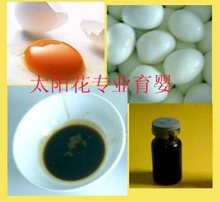 乳头皲裂 纯天然自制保纯蛋黄油10ML|ruв категории Всё для беременных и кормящих, мама дородового и послеродового товаров, другие - от Buy2taobao.com для оказания профессиональной услуги покупки агента Taobao