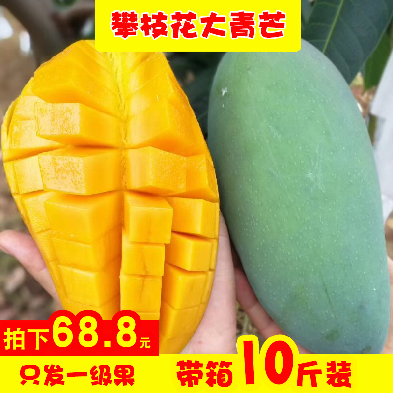 四川攀枝花金煌大青芒果应季新鲜水果现摘现发产地直发带箱10斤装|msdalam kategori daging perikanan/Buah-buahan segar dan sayur-sayuran/dimasak, buah-buahan segar, Mango - dari Buy2taobao.com untuk memberikan perkhidmatan ejen Taobao profesional membeli