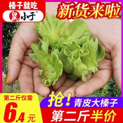 鼠小于2020年新货新鲜榛子带绿皮青皮水仁水瓤东北铁岭脱皮生榛子