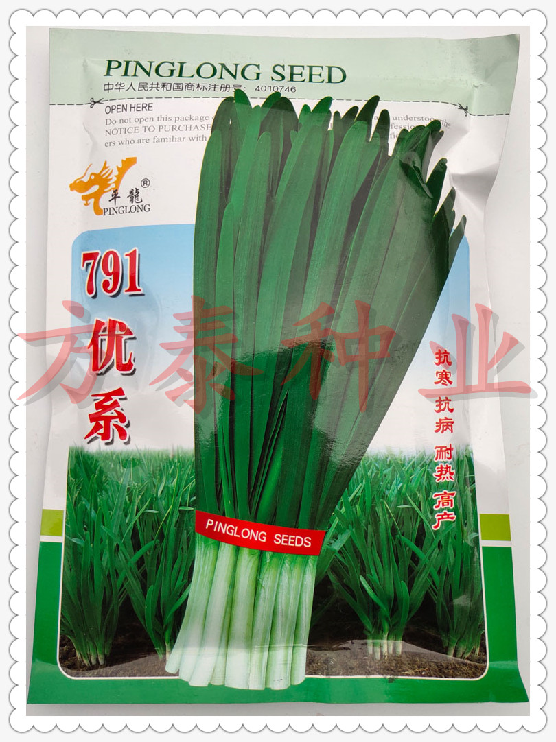 韭菜籽种大棚791韭菜种子四季宽叶紫根韭菜不枯苗韭菜种子在类目 农用物资, 种子/种苗, 蔬菜种子中 - 来自Buy2taobao.com提供专业的淘宝代购服务