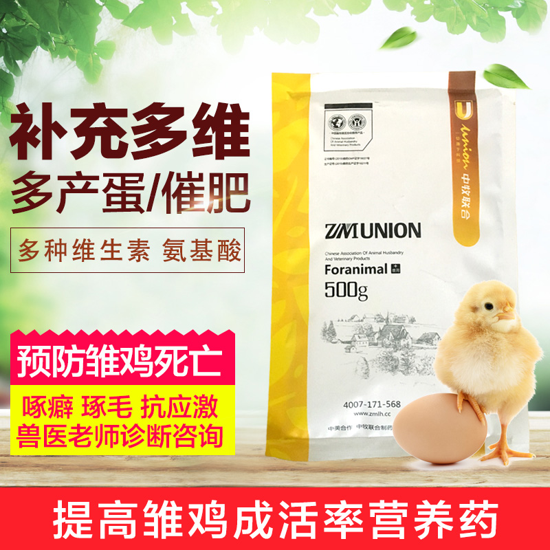鸡药鸡用多维蛋禽增加产蛋鸡鸭鹅补充维生素激蛋素肉禽禽用鸡鸭药在类目 畜牧/养殖物资, 饲料, 饲料添加剂中 - 来自Buy2taobao.com提供专业的淘宝代购服务