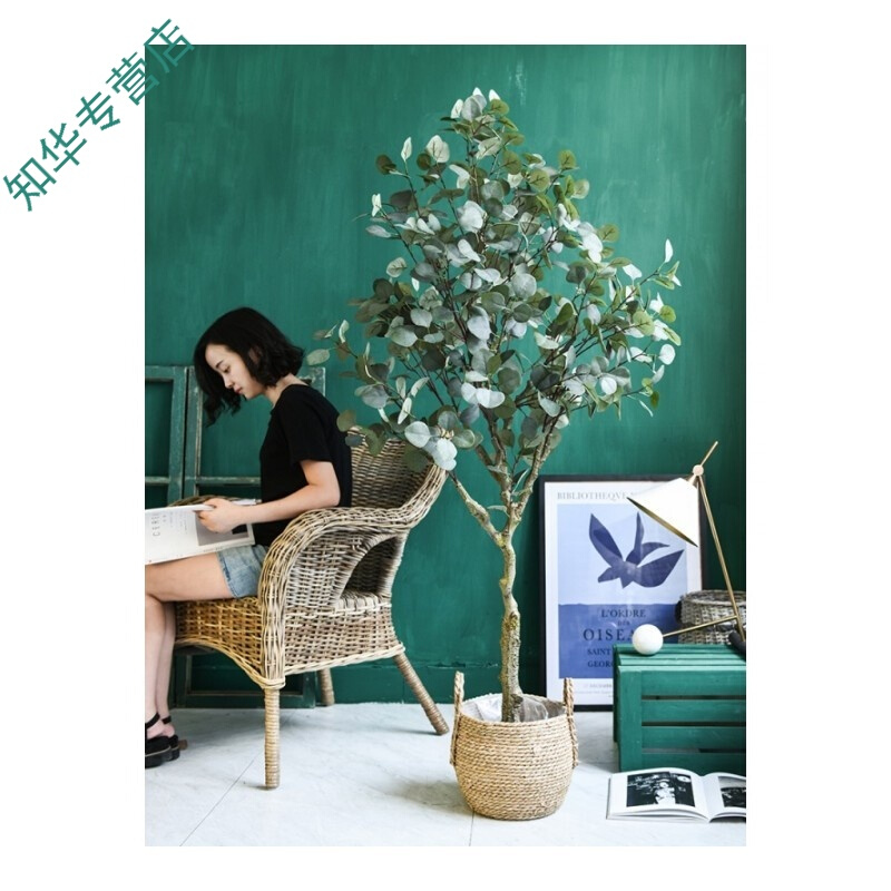 to ground bonsai scene prop Potted plant Showcase display Home Furnishing decorate bonsaiin the Play mode/Anime/Periphery/cos/Board games , Cosplay Apparel/Props/Service , COSPLAY Fitting/Props/Doll clothes category - from Buy2taobao.com to provide professional Taobao agent buy service