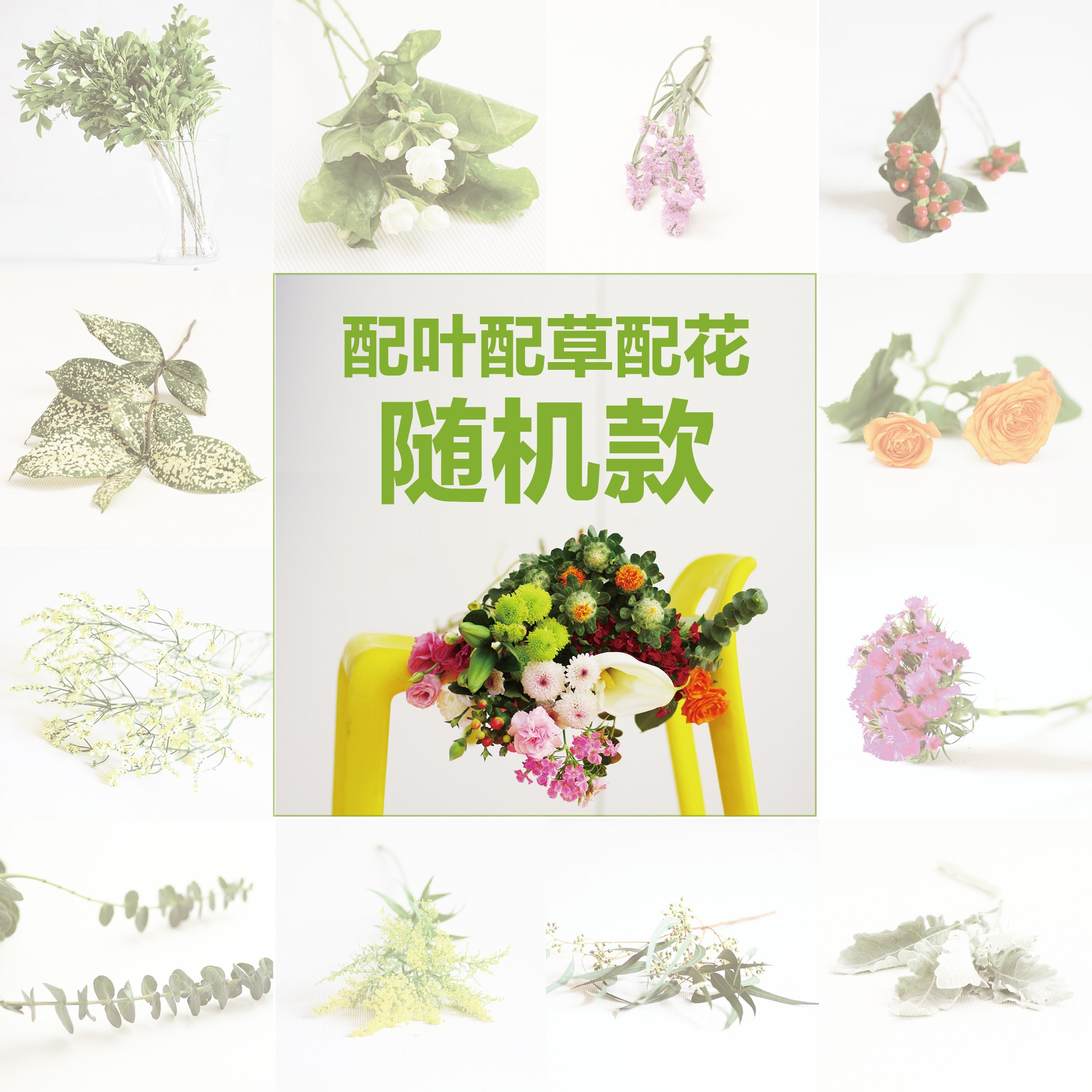 新鲜配花配叶配草婚庆花束家庭办公室插花辅材3-5支随机款在类目 鲜花速递/花卉仿真/绿植园艺, 鲜花速递(同城)中 - 来自Buy2taobao.com提供专业的淘宝代购服务