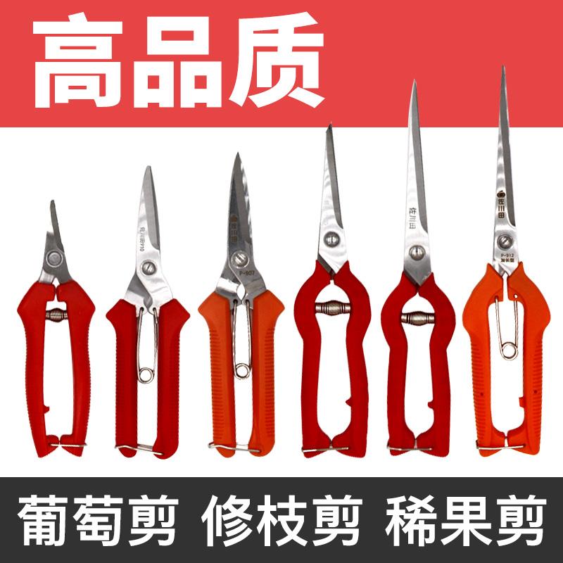 园艺稀果剪黑枸杞子疏葡萄采摘剪刀加长园艺剪枝采摘剪椒|msdalam kategori perkakasan/alat, Alat-alat tangan, Shears, gunting taman - dari Buy2taobao.com untuk memberikan perkhidmatan ejen Taobao profesional membeli
