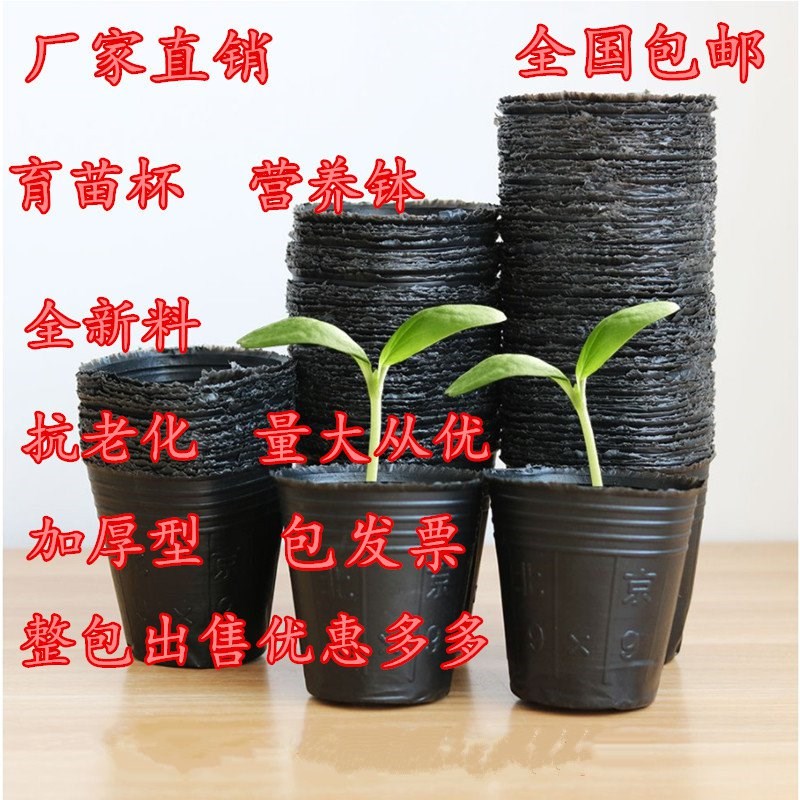 苗木家用蒜苗四季蔬菜種子塑料育苗杯育種植營養保溫育苗盆樹苗在類目 鮮花速遞/花卉仿真/綠植園藝, 園藝用品, 育苗盤/營養鉢中 - 來自Buy2taobao.com提供專業的淘寶代購服務