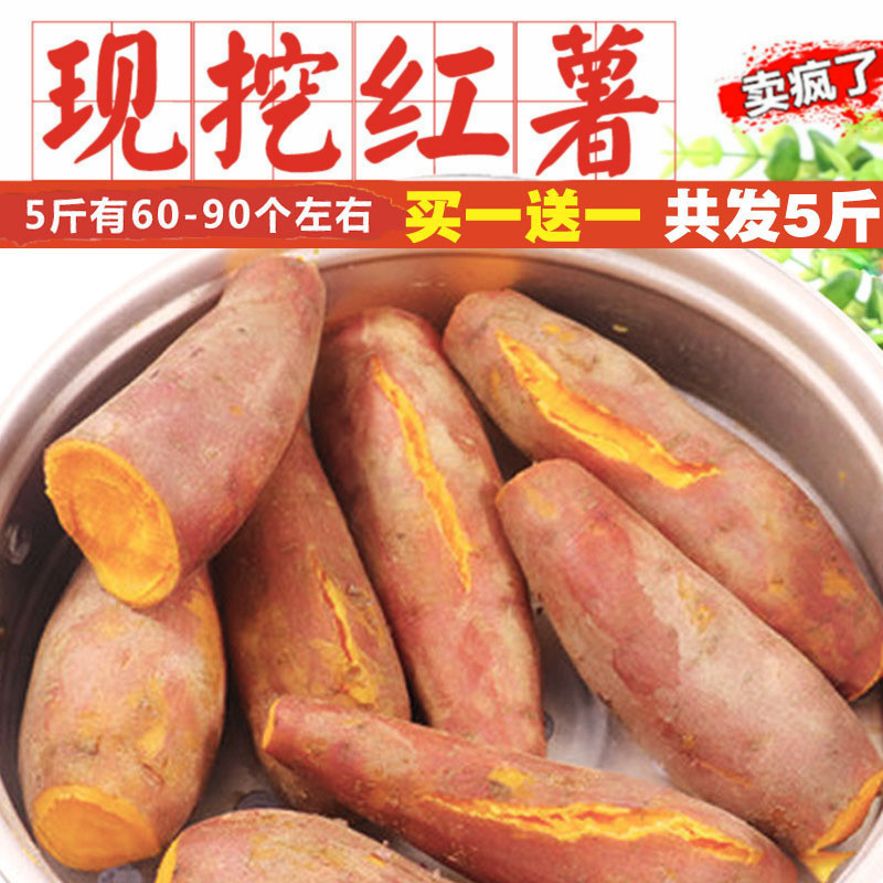 2019新鲜板栗薯红薯蜜薯农家自种非天目山小香薯地瓜番薯山芋5斤在类目 水产肉类/新鲜蔬果/熟食, 新鲜蔬菜/蔬菜制品, 新鲜蔬菜, 番薯中 - 来自Buy2taobao.com提供专业的淘宝代购服务