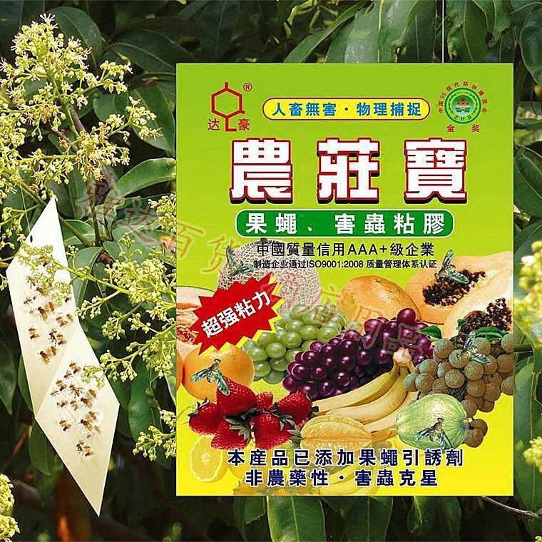选优农庄宝果蝇实蝇粘胶板粘虫板防虫板水果蔬菜杀灭果蝇实蝇胶板|ruв категории начало ежедневно, дегельминтизация товаров, липучка - от Buy2taobao.com для оказания профессиональной услуги покупки агента Taobao