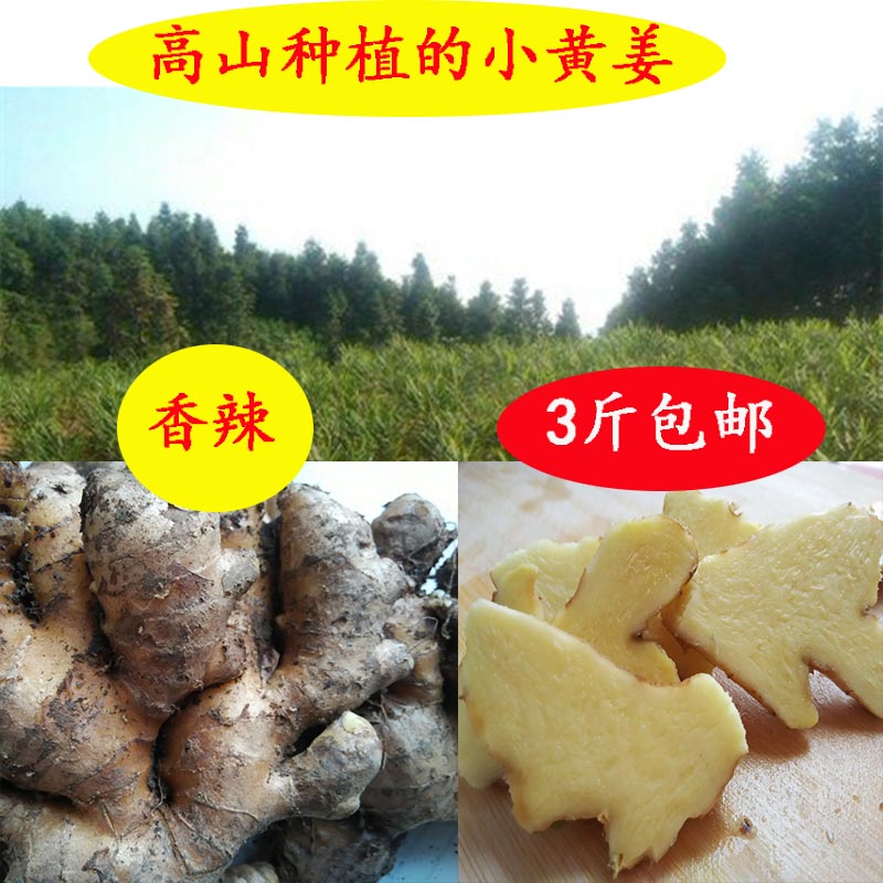 虎爪姜 小黄姜 新鲜生姜 原始点老姜 正宗土姜月子姜湖南永州双牌|ruв категории водной мясо/свежие фрукты и овощи/еда, свежие овощи/овощной продукции, имбирь - от Buy2taobao.com для оказания профессиональной услуги покупки агента Taobao