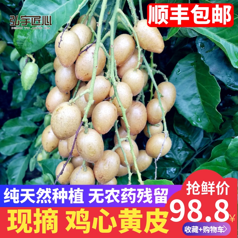 新鲜水果现摘鸡心黄皮果当应季时令热带孕妇酸甜顺丰4斤黄皮广东在类目 水产肉类/新鲜蔬果/熟食, 新鲜水果, 其它中 - 来自Buy2taobao.com提供专业的淘宝代购服务