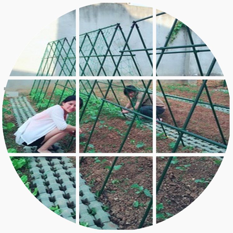 Angle Brackets cucumber Shelf gardening pillar Bracket suit Flower Pillar Climbing Vegetable garden Vegetables plant Bracketin the Flower delivery/Flowers simulation/Plants gardening , Gardening supplies , Other Garden Supplies category - from Buy2taobao.com to provide professional Taobao agent buy service