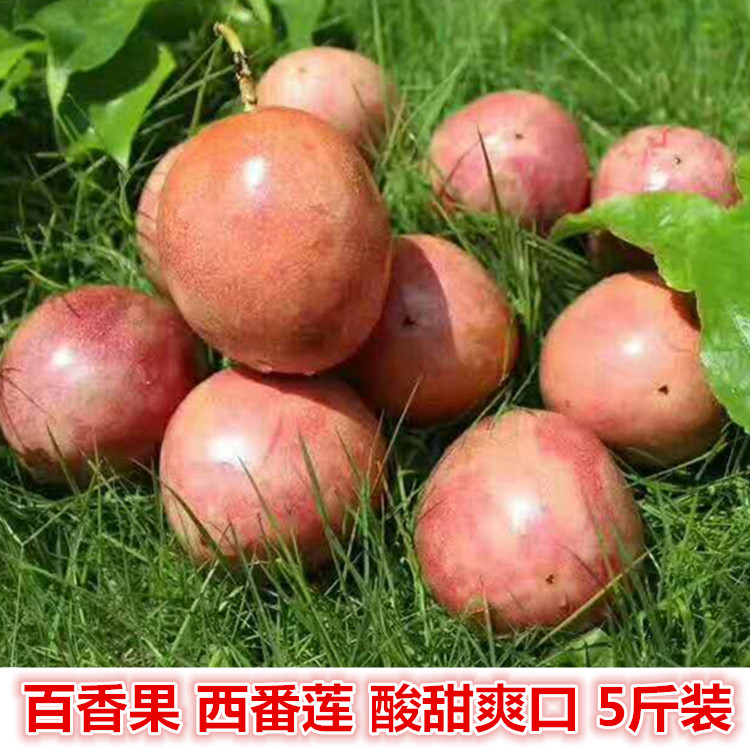 Passion fruit Passionflower Origin of Guangxi Fresh passion fruit Sweet and sour Nutritious 5 cattiesin the Aquatic meat/Fresh fruits and vegetables/Cooked , Fresh fruit , Passion Fruit category - from Buy2taobao.com to provide professional Taobao agent buy service