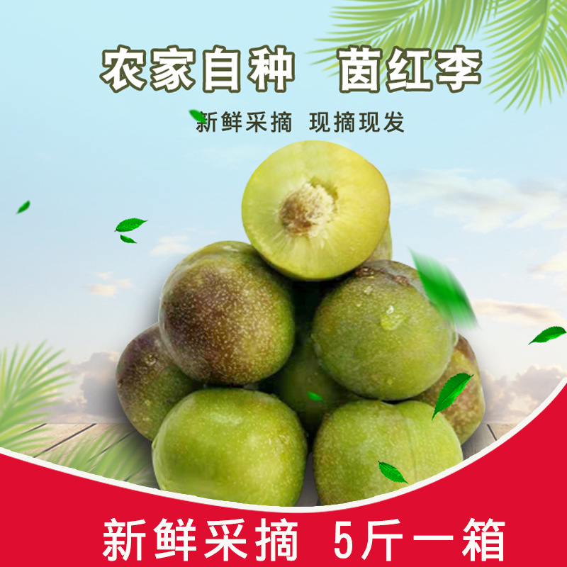 四川半边红李子现摘现发茵红李脱骨李子非三华李五月李脆红李脆李|ruв категории водной мясо/свежие фрукты и овощи/еда, свежие фрукты, слива - от Buy2taobao.com для оказания профессиональной услуги покупки агента Taobao