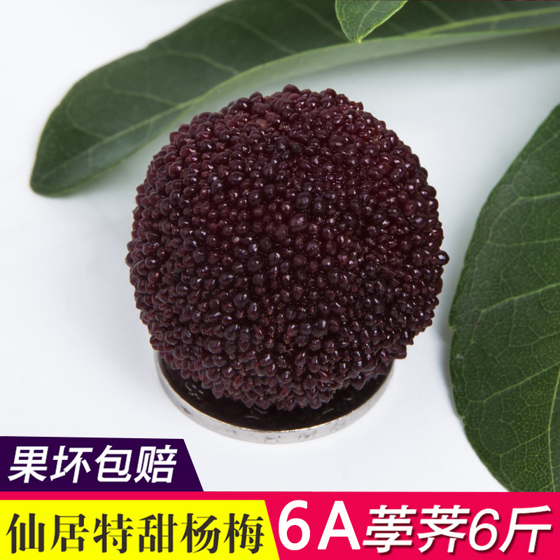 Xianju Bayberry fresh Water chestnuts Fresh red bayberry pregnant woman Season Fruit 6 Shunfengin the Aquatic meat/Fresh fruits and vegetables/Cooked , Fresh fruit , Other category - from Buy2taobao.com to provide professional Taobao agent buy service