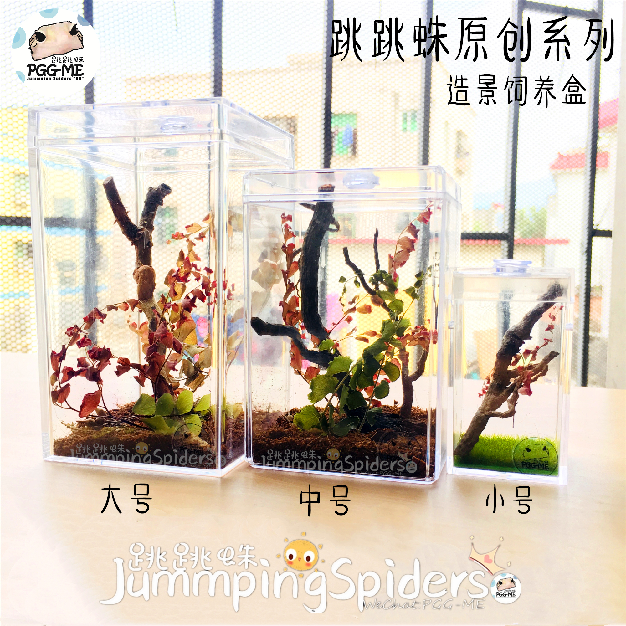 跳跳蛛 跳蛛飼養盒 小型爬蟲 跳蛛 原創 造景飼養盒 模擬大自然在類目 寵物/寵物食品及用品, 爬蟲/鳴蟲及其用品, 蜘蛛中 - 來自Buy2taobao.com提供專業的淘寶代購服務