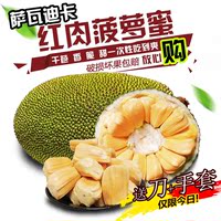 泰国红肉菠萝蜜-黄肉菠萝蜜嫁接苗榴莲马来西