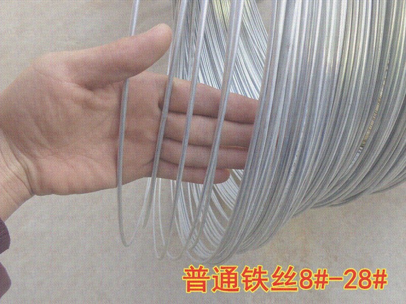 8号钢丝粗细铁丝 镀锌铁丝 防锈钢丝8.10.12.14.16.18.22.24.26号|ruв категории доставка цветов/цветок моделирования/растения садоводства, Diy моделирования цветы материалов, производство материалов (новый), провод - от Buy2taobao.com для оказания профессиональной услуги покупки агента Taobao
