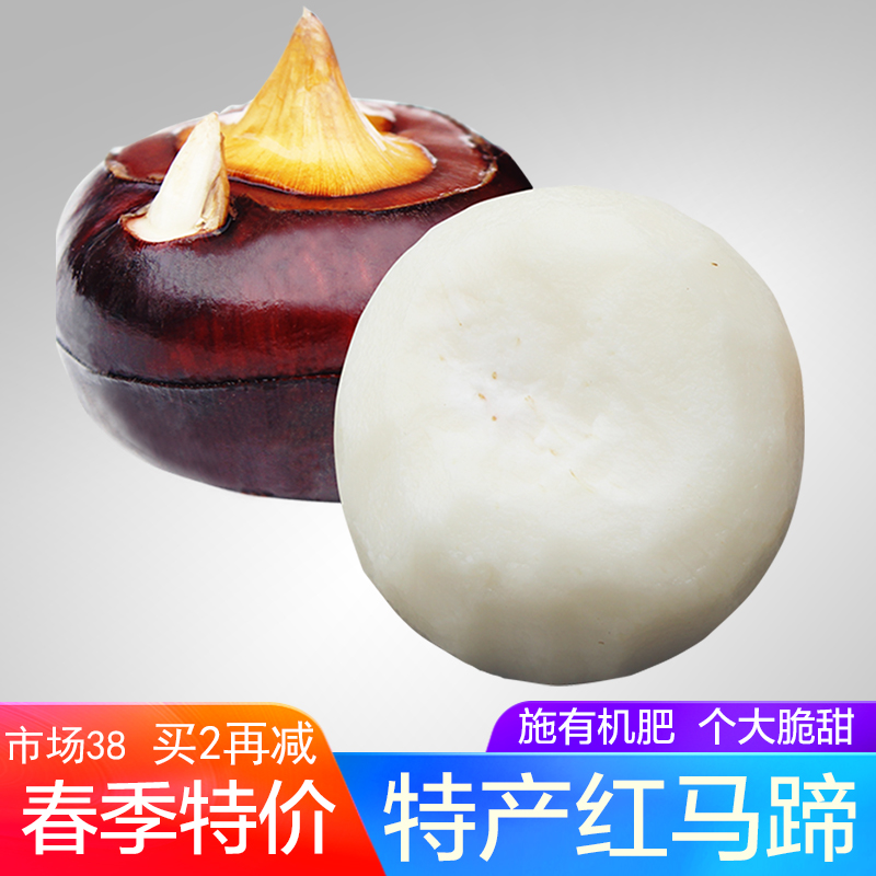 特产精品北乡马蹄5斤6A大号红皮 新鲜爽脆甜无渣荸荠乐昌水果蔬菜在类目 水产肉类/新鲜蔬果/熟食, 新鲜蔬菜/蔬菜制品, 新鲜蔬菜, 其它中 - 来自Buy2taobao.com提供专业的淘宝代购服务