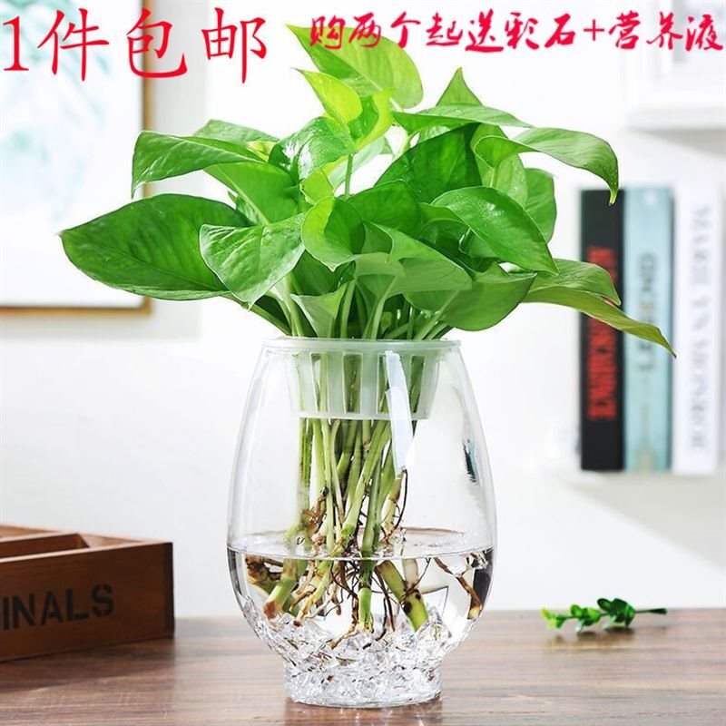 contracted large transparent glass vase creative sphere othe在类目 鲜花速递/花卉仿真/绿植园艺, 花瓶/花器/花盆/花架(新), 花瓶中 - 来自Buy2taobao.com提供专业的淘宝代购服务