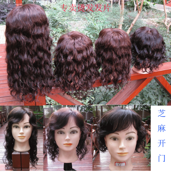 递针卷发片真人发假发片长卷发发片 遮盖白发 头顶补发片芝麻开门|msdalam kategori Penjagaan rambut/rambut palsu, rambut palsu, keping rambut - dari Buy2taobao.com untuk memberikan perkhidmatan ejen Taobao profesional membeli