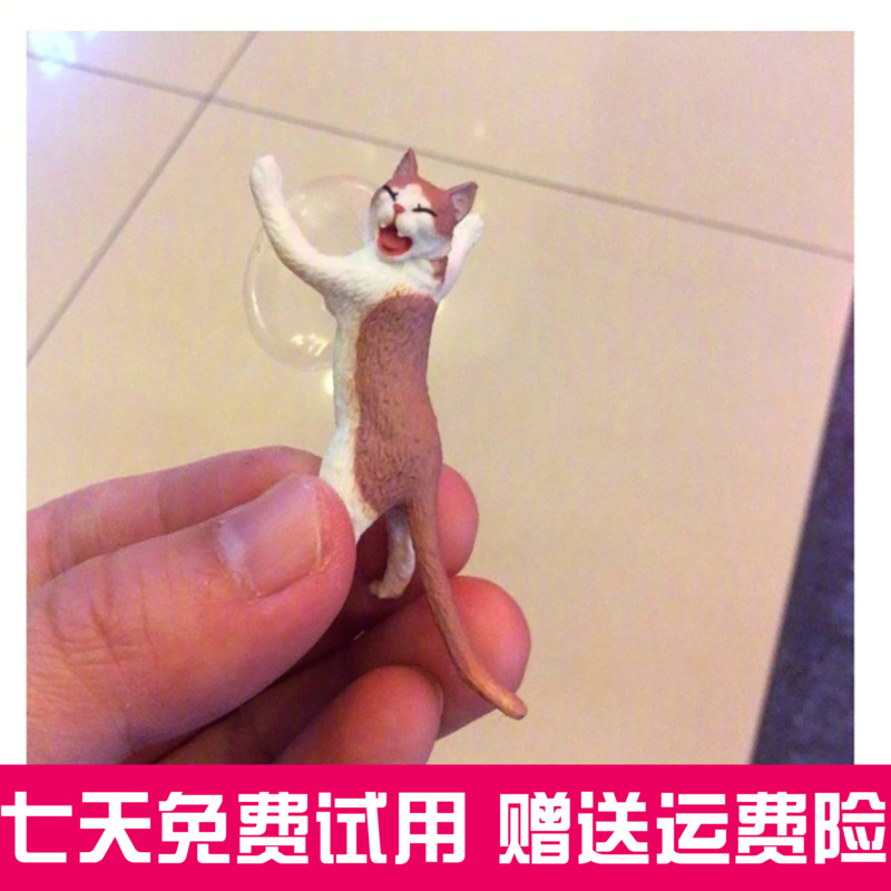 优选吸盘猫咪君援军篇长毛小猫手机支架仿真可爱扭蛋这里交给我你|ruв категории Цифровые аксессуары, аксессуары для мобильных телефонов, телефон скобка/мобильный телефон сиденья - от Buy2taobao.com для оказания профессиональной услуги покупки агента Taobao