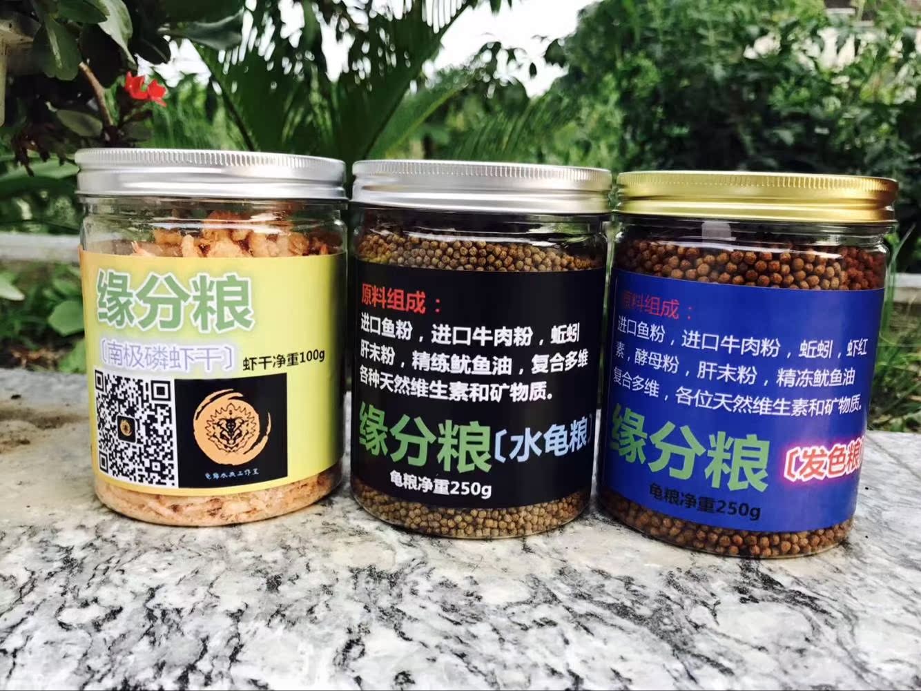 【龟缘1直播选龟】草龟鳄龟麝香龟地图龟甜甜圈墨龟火焰龟蛋龟在类目 宠物/宠物食品及用品, 水族世界, 龟/鳖中 - 来自Buy2taobao.com提供专业的淘宝代购服务