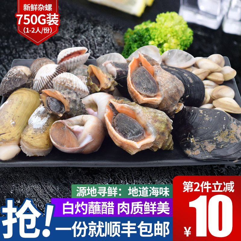 Small coffee Zhoushan fresh random Cold platter Conch shell Shellfish Seafood Aquatic productsin the Aquatic meat/Fresh fruits and vegetables/Cooked , Seafood/Aquatic/Product , Shellfish , Shellfish Products category - from Buy2taobao.com to provide professional Taobao agent buy service