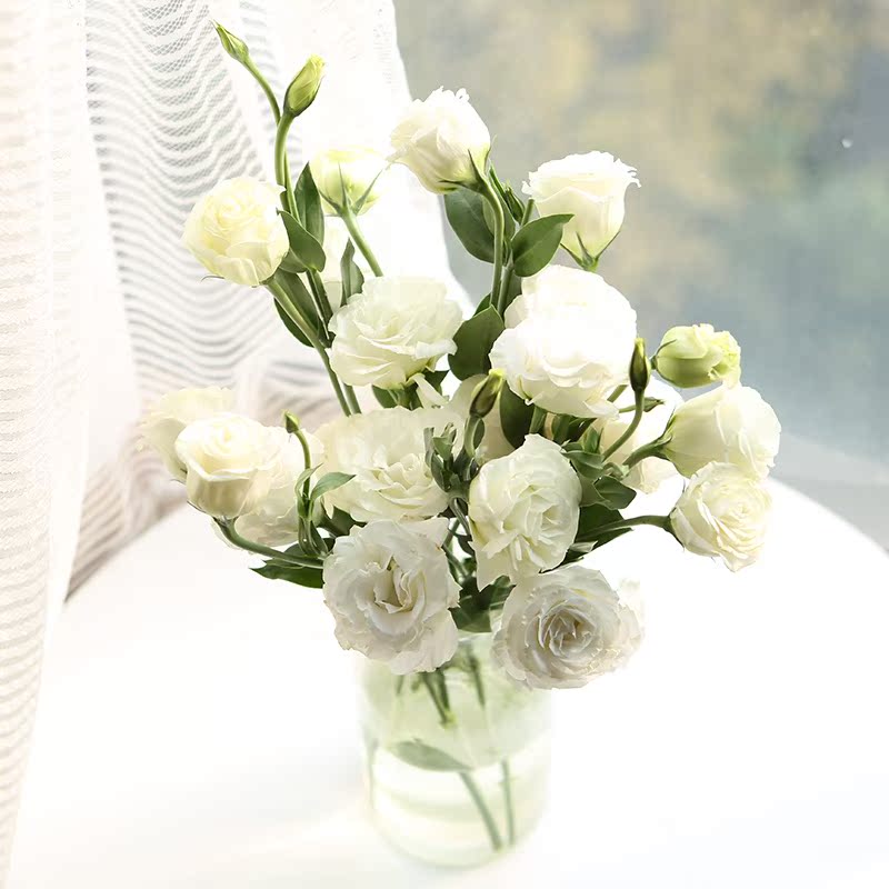 Yunnan flower Base Straight hair Eustoma grandiflorum household flower arrangement Water to keep Kunmingin the Flower delivery/Flowers simulation/Plants gardening , Flower delivery(City) category - from Buy2taobao.com to provide professional Taobao agent buy service