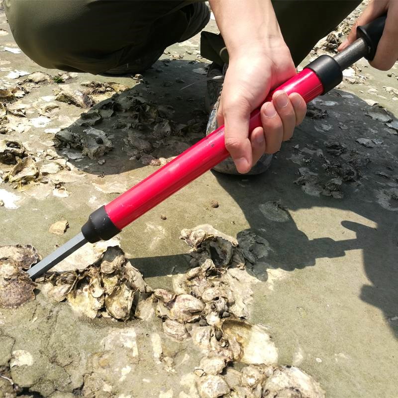 Clamming Oyster tool Oyster Scallops Oysters Cockle Oyster toolin the Agricultural Machinery/Farm tools/Plastic sheeting , Agricultural Tools , Pick category - from Buy2taobao.com to provide professional Taobao agent buy service